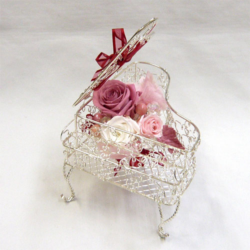 ��t���ԁ@�v���U�[�u�h�t�����[/�s�A�m�i�s���N�j